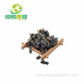 Black Fungus Extract 50%Polysaccharide